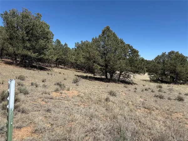 520 W View, Cotopaxi, CO 81223