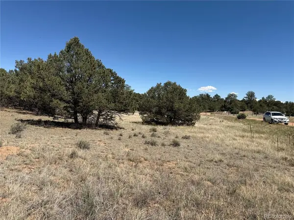520 W View, Cotopaxi, CO 81223