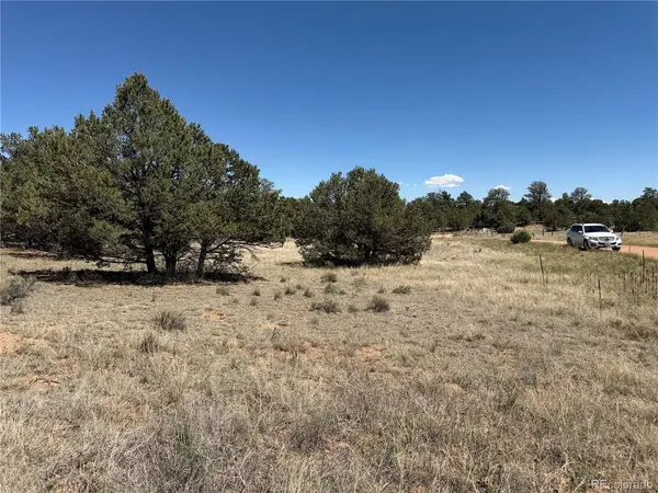 520 W View, Cotopaxi, CO 81223