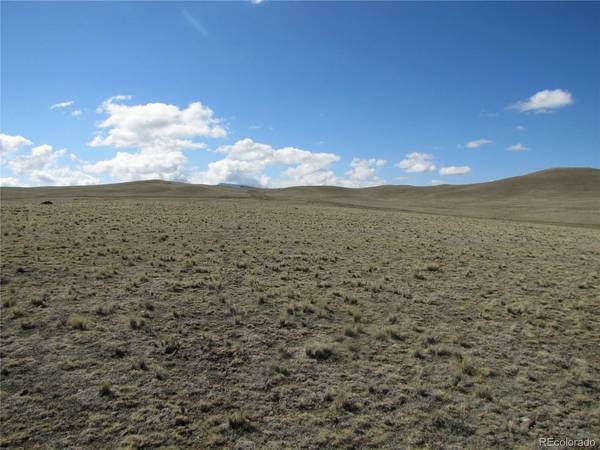 1454 Chicha, Hartsel, CO 80449