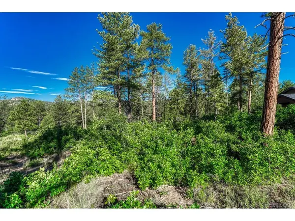 1205 Wildcat Bend, Castle Rock, CO 80108