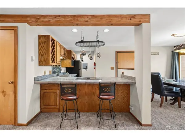 91300 Ryan Gulch #91301, Silverthorne, CO 80498
