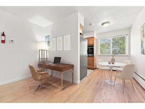 1056 N Marion #203, Denver, CO 80218