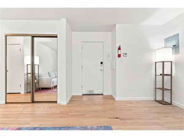 1056 N Marion #203, Denver, CO 80218