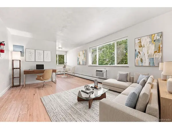 1056 N Marion #203, Denver, CO 80218