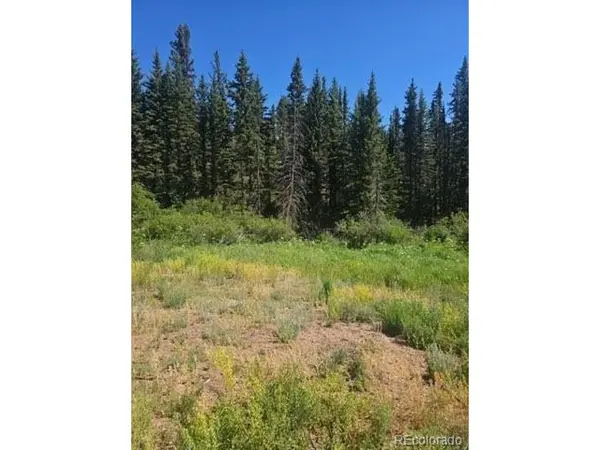 1164 Arapahoe Creek, Florissant, CO 80816