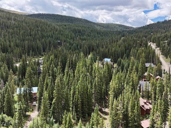 757 CR 674, Breckenridge, CO 80424