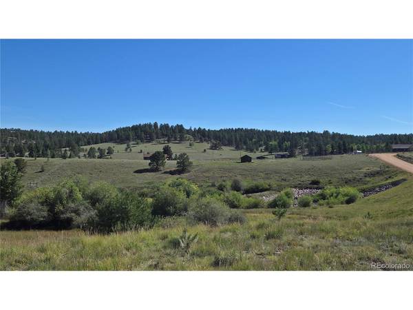 99 Uintah Ridge, Florissant, CO 80816
