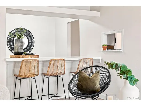 4533 S Lowell #B, Denver, CO 80236