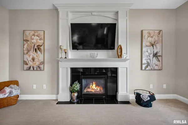 10416 W LAKE CAMELOT DR, Mapleton, IL 61547