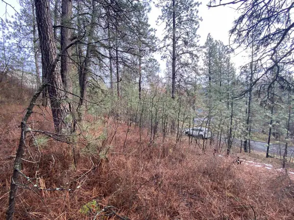 10XX S Azalea Dr, Spokane, WA 99224