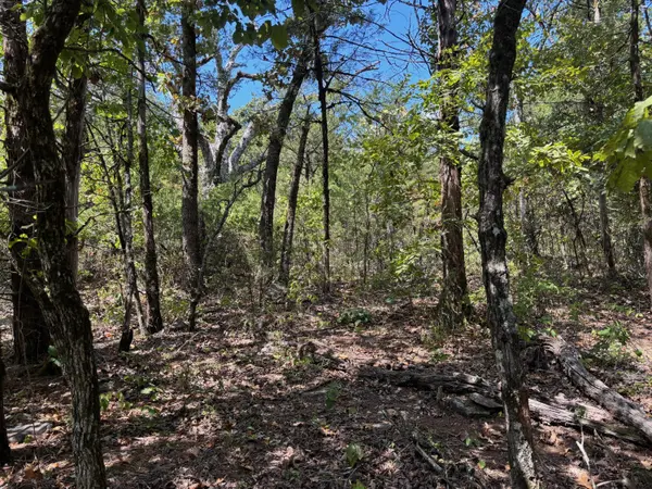 Tract 1 Little Woods RD, Elizabeth, AR 72531