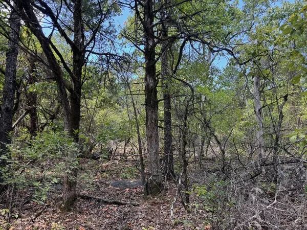 Tract 1 Little Woods RD, Elizabeth, AR 72531