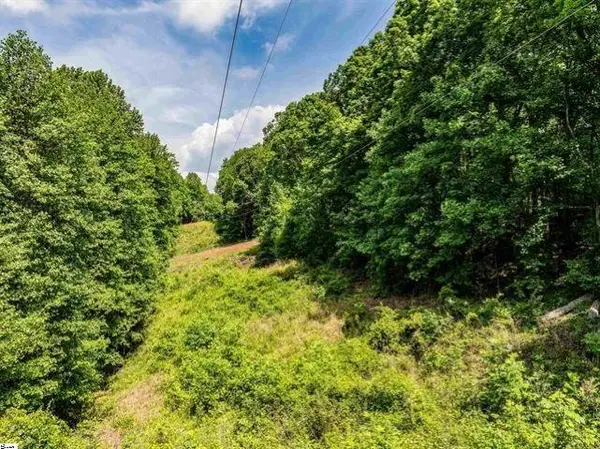 67 & 68 Wildflower LN, Travelers Rest, SC 29690