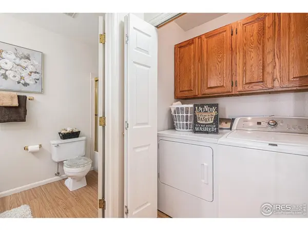 1230 Honeysuckle, Windsor, CO 80550