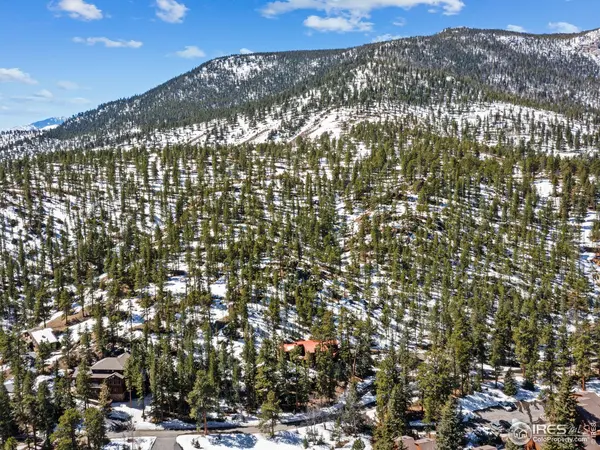 1451 David, Estes Park, CO 80517