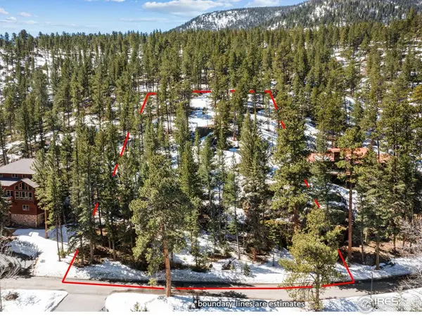 1451 David, Estes Park, CO 80517