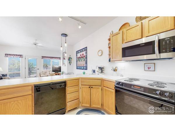 1776 Olympian #H, Estes Park, CO 80517