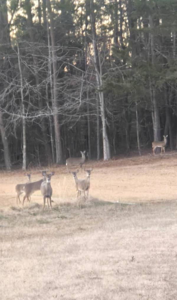 0 Darwin RD, Gaffney, SC 29340-0000
