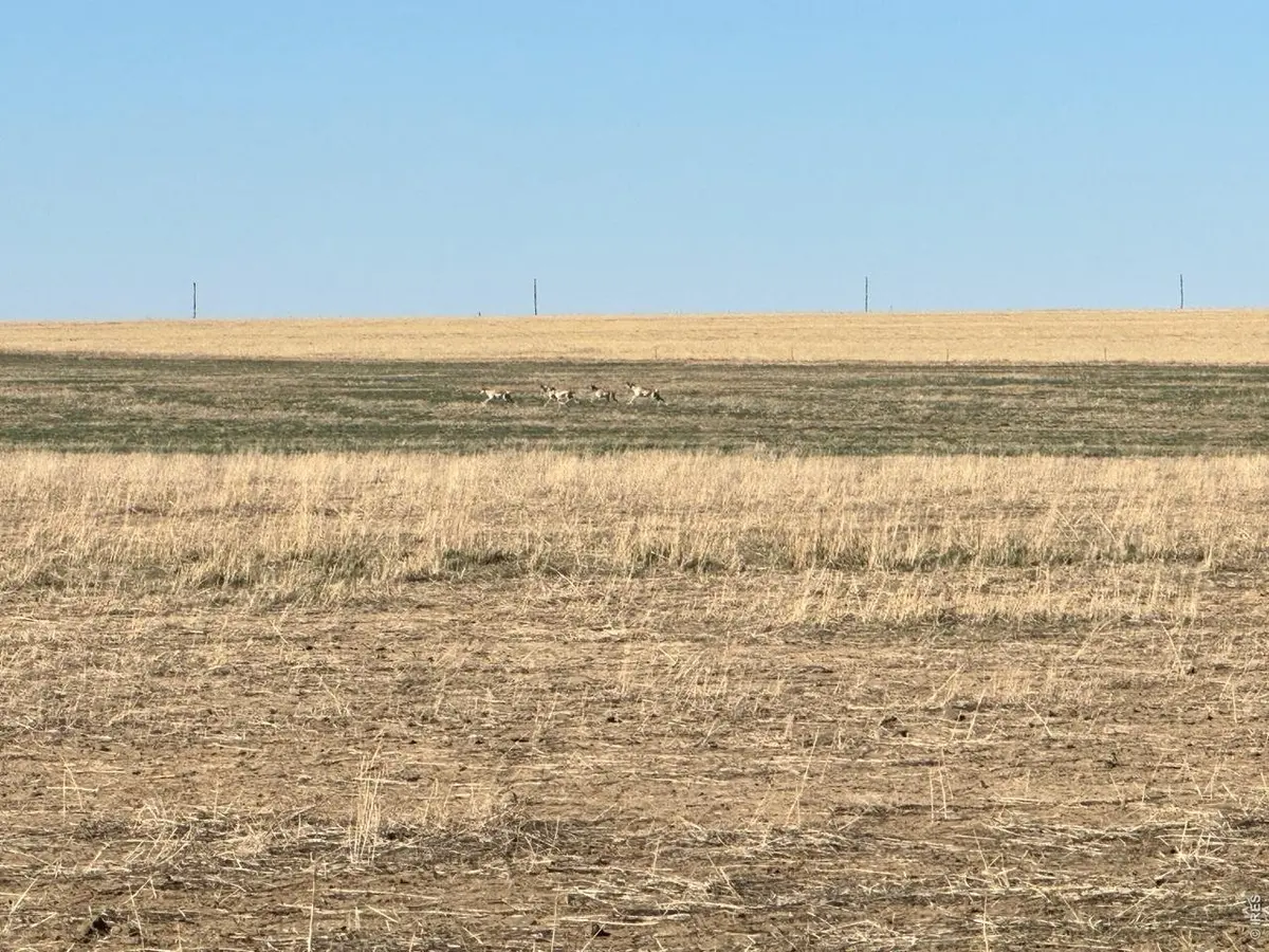 100 4, Arlington, CO 81021