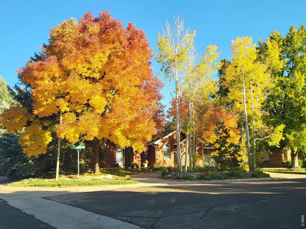 1220 49th, Greeley, CO 80634