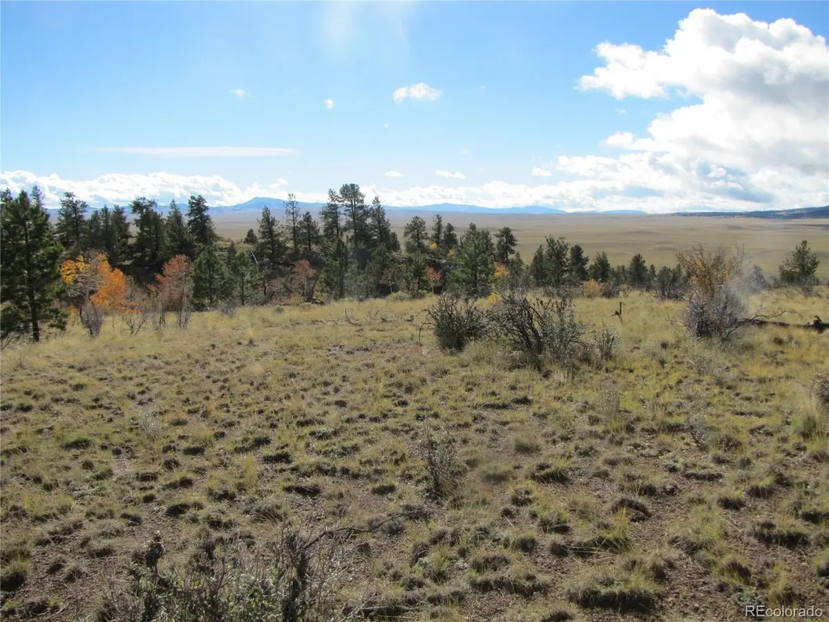 206 Bandolier, Hartsel, CO 80449