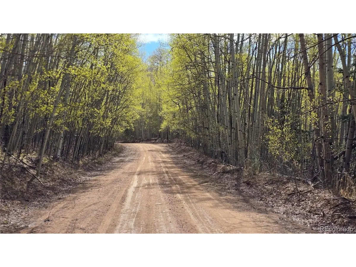 5902 Slegers, Fort Garland, CO 81133