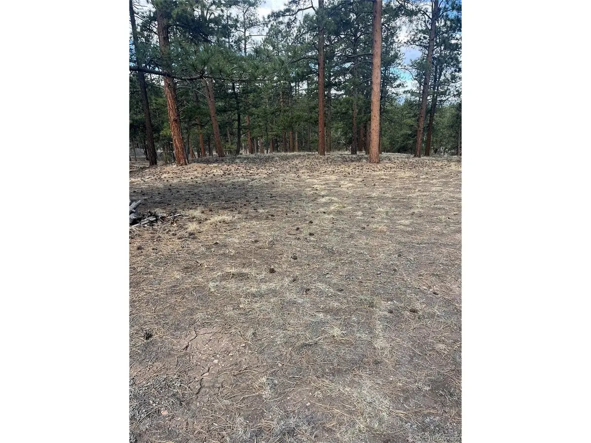 185 Sioux, Westcliffe, CO 81252