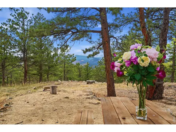 8695 Sunshine Canyon, Boulder, CO 80302