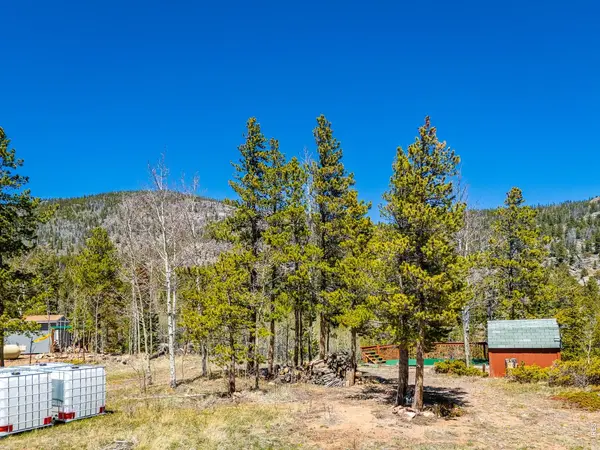 20 Inca, Red Feather Lakes, CO 80545