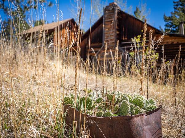 329 Snow Top, Drake, CO 80515