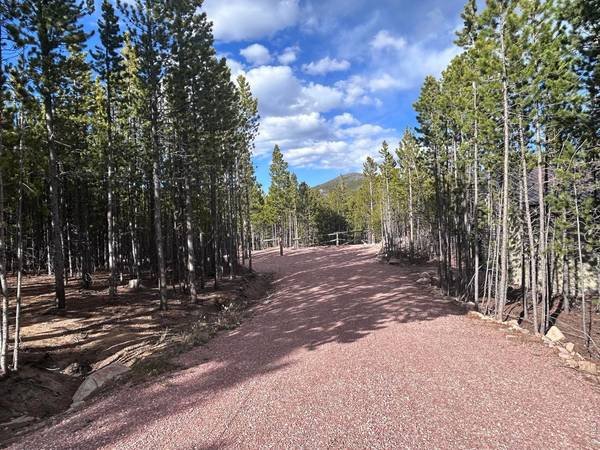 2596 Ottawa, Red Feather Lakes, CO 80545