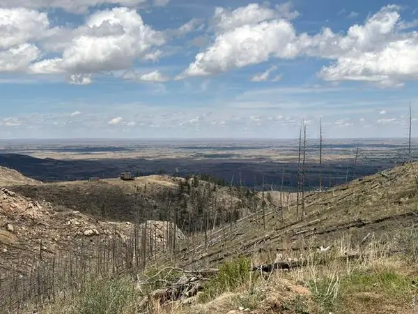 711 Saddle Ridge, Bellvue, CO 80512
