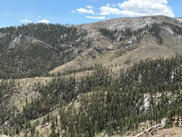 711 Saddle Ridge, Bellvue, CO 80512