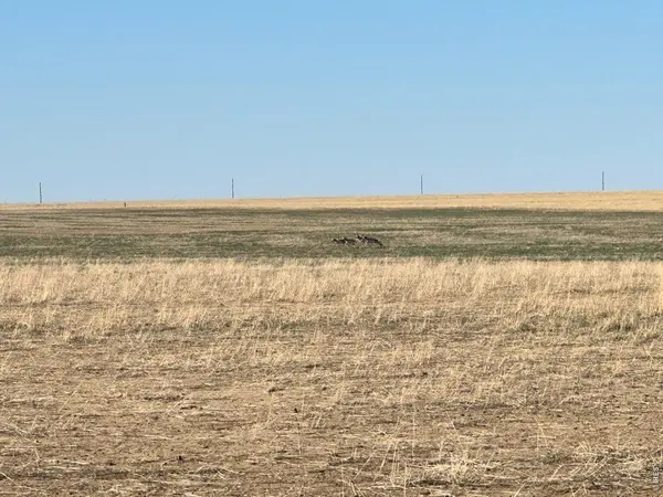100 4, Arlington, CO 81021