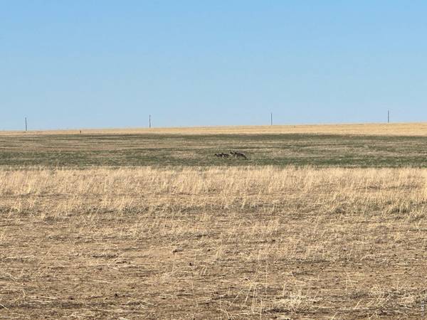 100 4, Arlington, CO 81021
