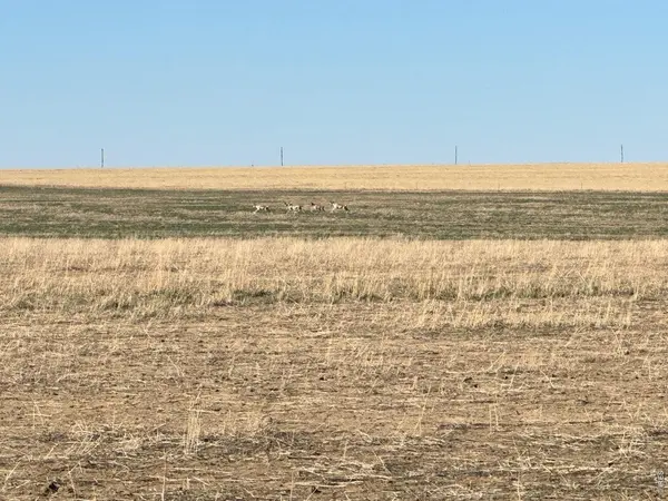 100 4, Arlington, CO 81021