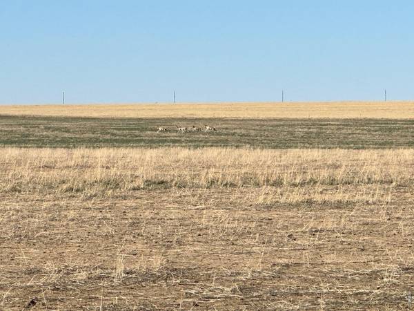 100 4, Arlington, CO 81021