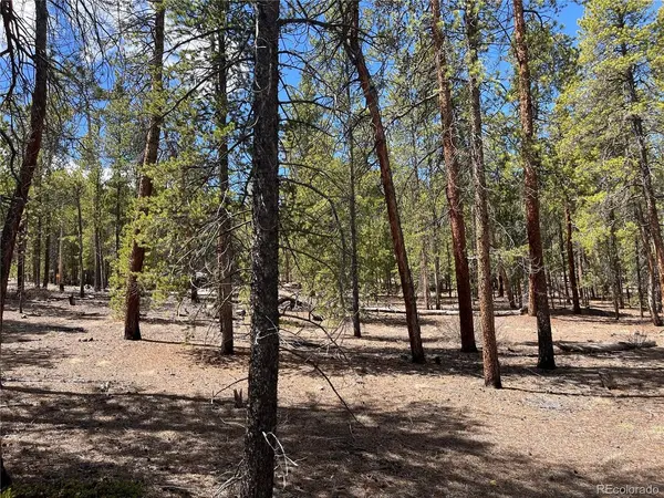 1013 Sequoia, Twin Lakes, CO 81251