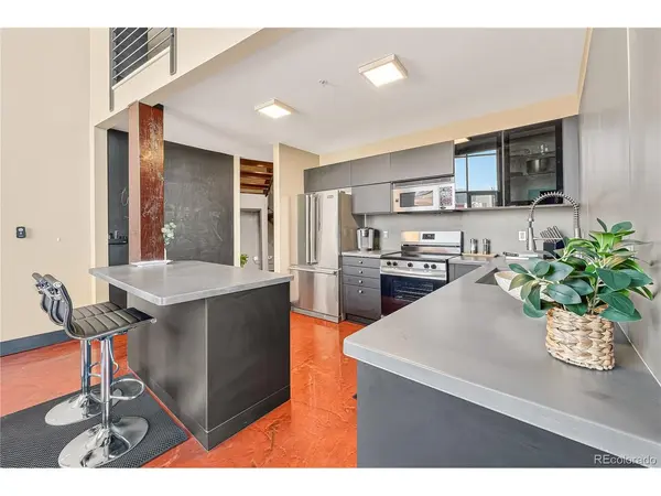 1050 Cherokee #301, Denver, CO 80204