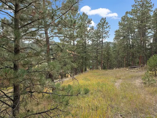 28155 Cragmont, Evergreen, CO 80439