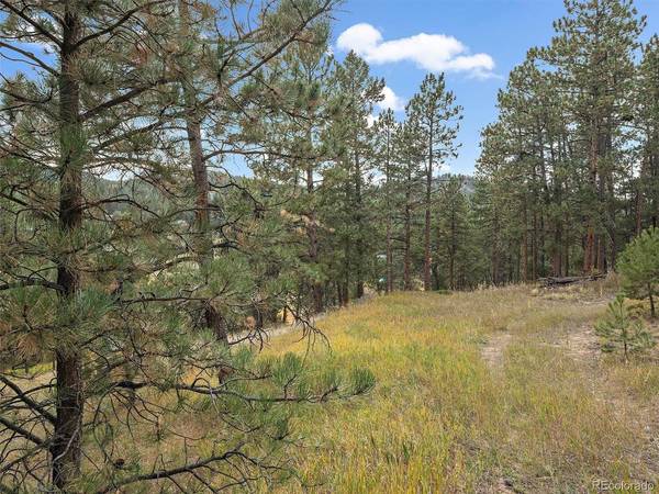 28155 Cragmont, Evergreen, CO 80439
