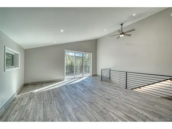 361 Birch, Leadville, CO 80461