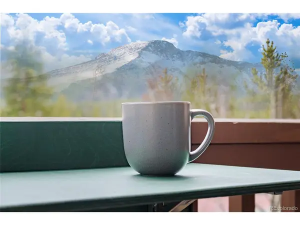 145 Forest ##5, Winter Park, CO 80482