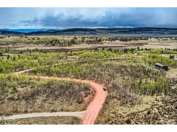 612 Iron Mountain, Fairplay, CO 80440