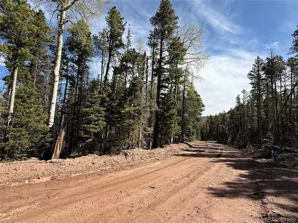 3408 Drexler, Fort Garland, CO 81133