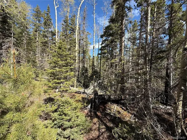 3408 Drexler, Fort Garland, CO 81133