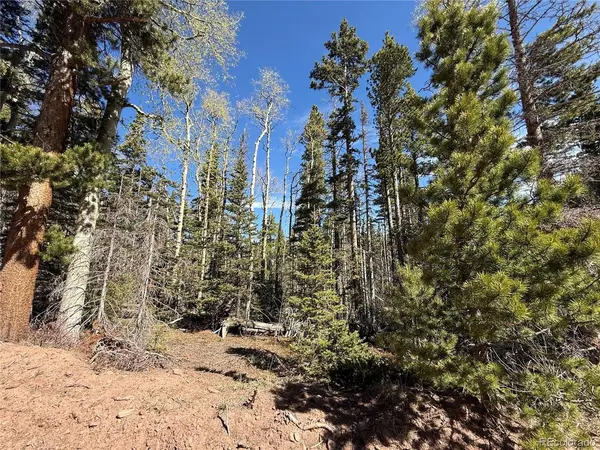 3408 Drexler, Fort Garland, CO 81133