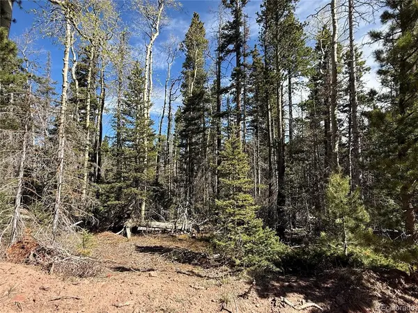 3408 Drexler, Fort Garland, CO 81133