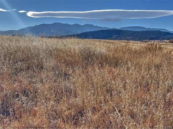 309 Morgan, Colorado City, CO 81019